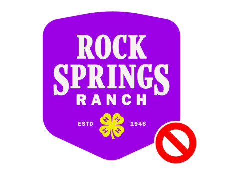 RSR logo with wrong colors