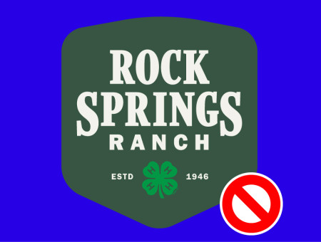 RSR Logo over the wrong color background