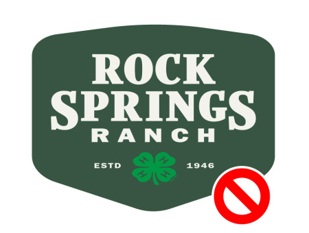 RSR logo stretched out of proportion