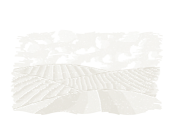 Prairie View Etching